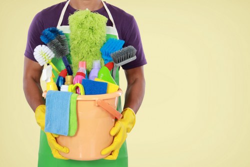 Professional carpet cleaning in a Bankside living room