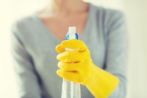 Professional pet stain odour removal in a Bankside living room