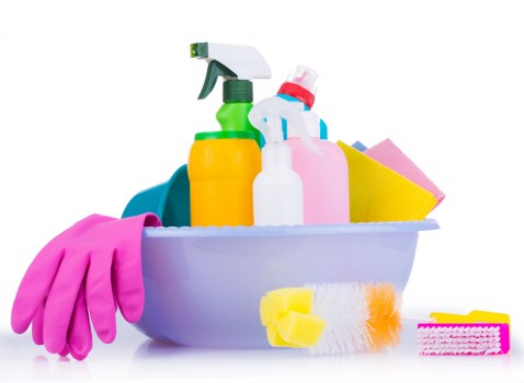 Professional carpet cleaning in a Bankside property with clear pricing information