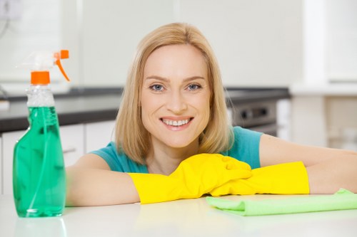 Deep carpet cleaning equipment in a Bankside property