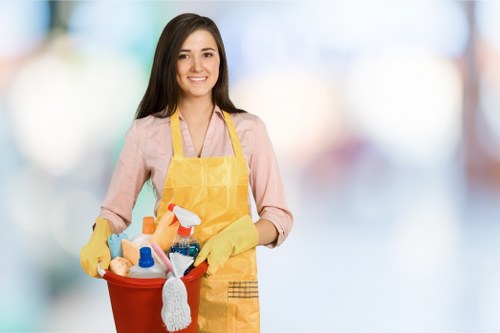 Cleaning upholstery to remove pet smells in Bankside